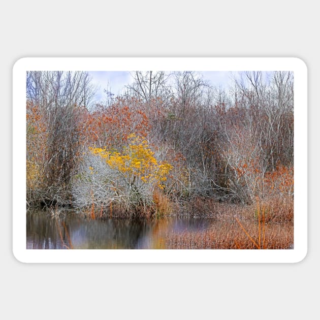 Deep in the Marsh Sticker by EileenMcVey